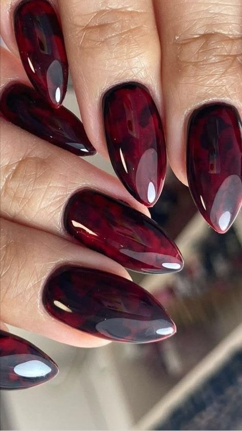 Deep wine red tortoiseshell almond nails, glossy finish